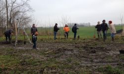 Plantations Cavalier   050